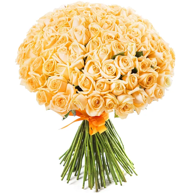 Букет из 101 розы россия персикового цвета (70 см)