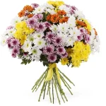 Хризантемы кустовые светлый микс